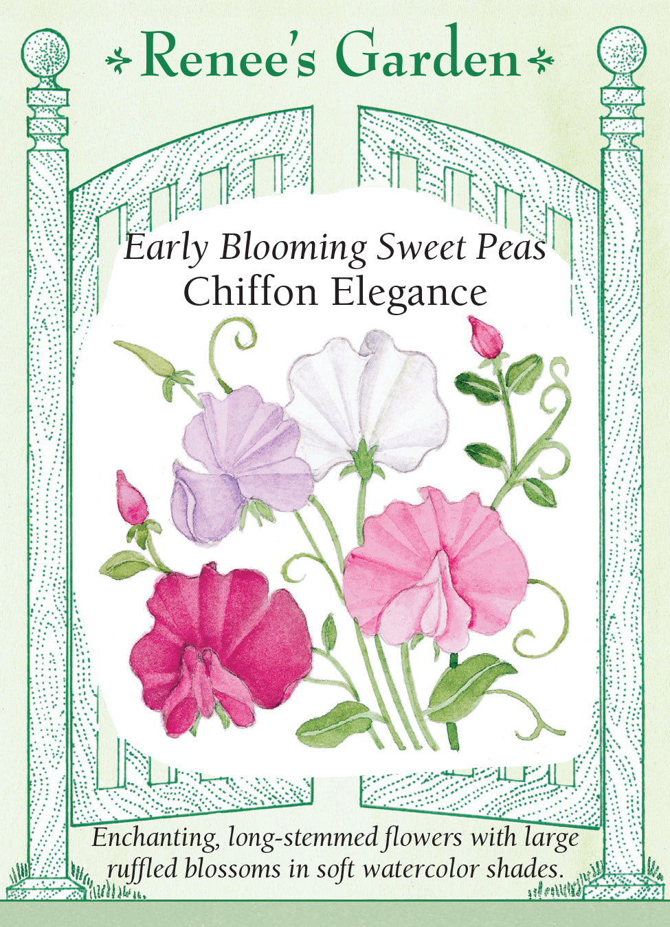 Sweet Pea Chiffon Elegance Early