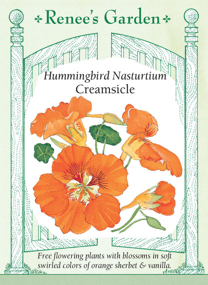 Nasturtium Creamsicle