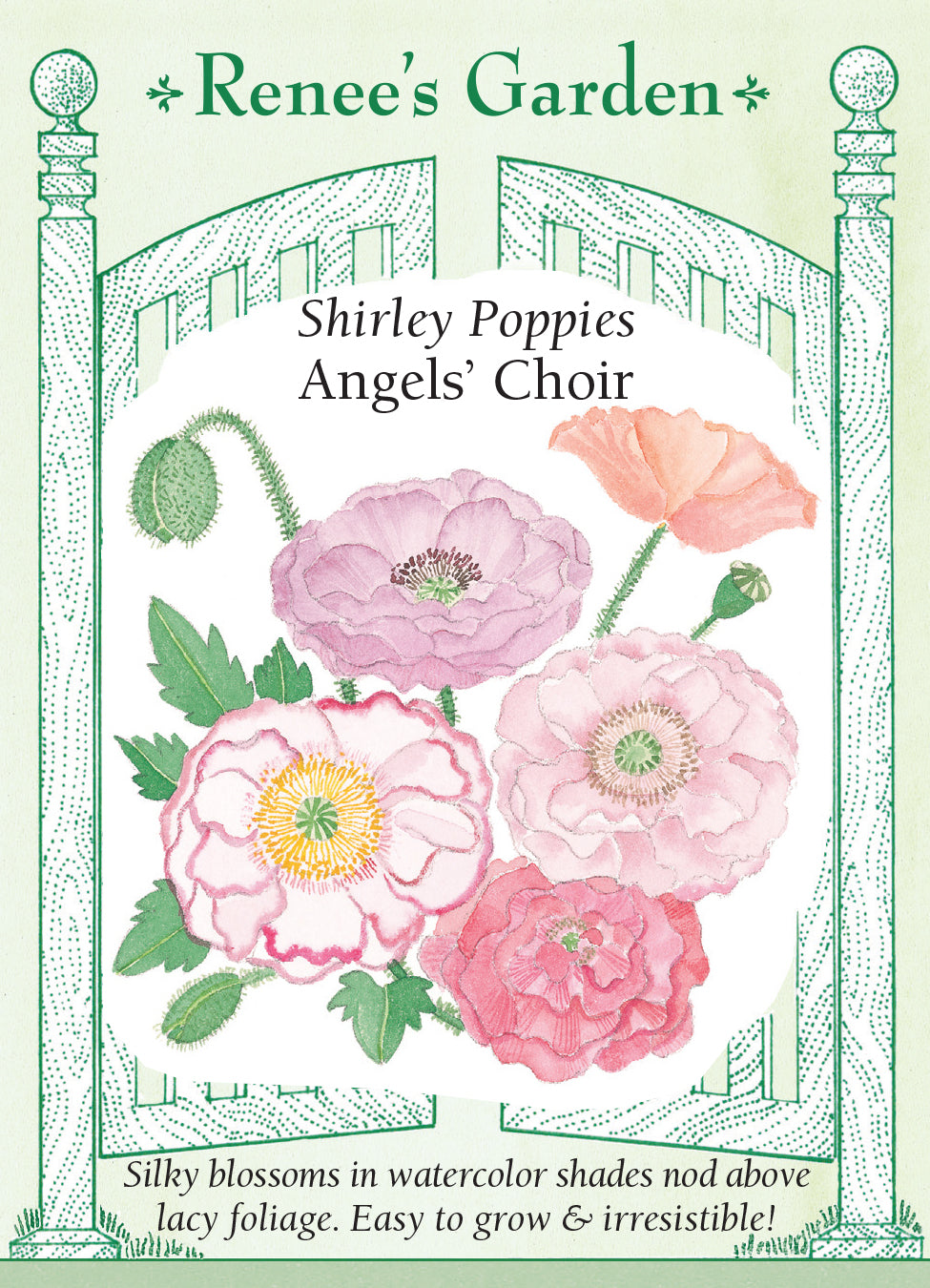 Poppy Shirley Angels' Choir