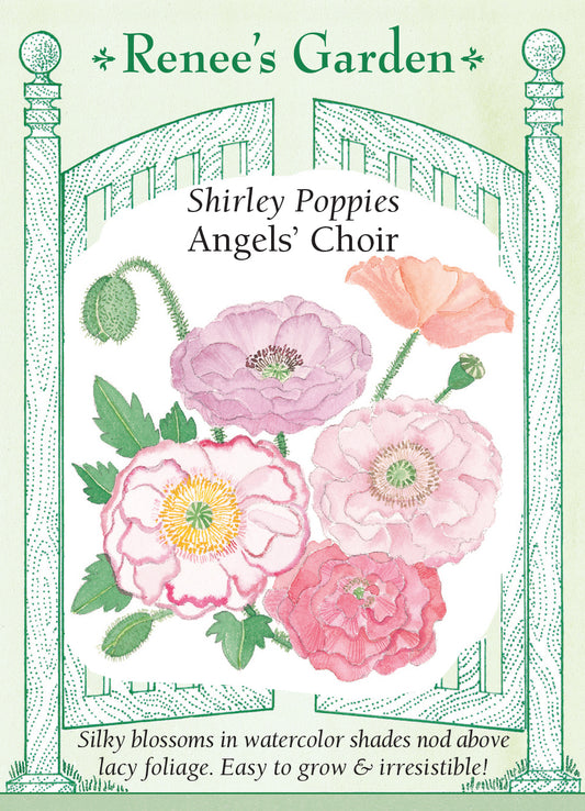 Poppy Shirley Angels' Choir