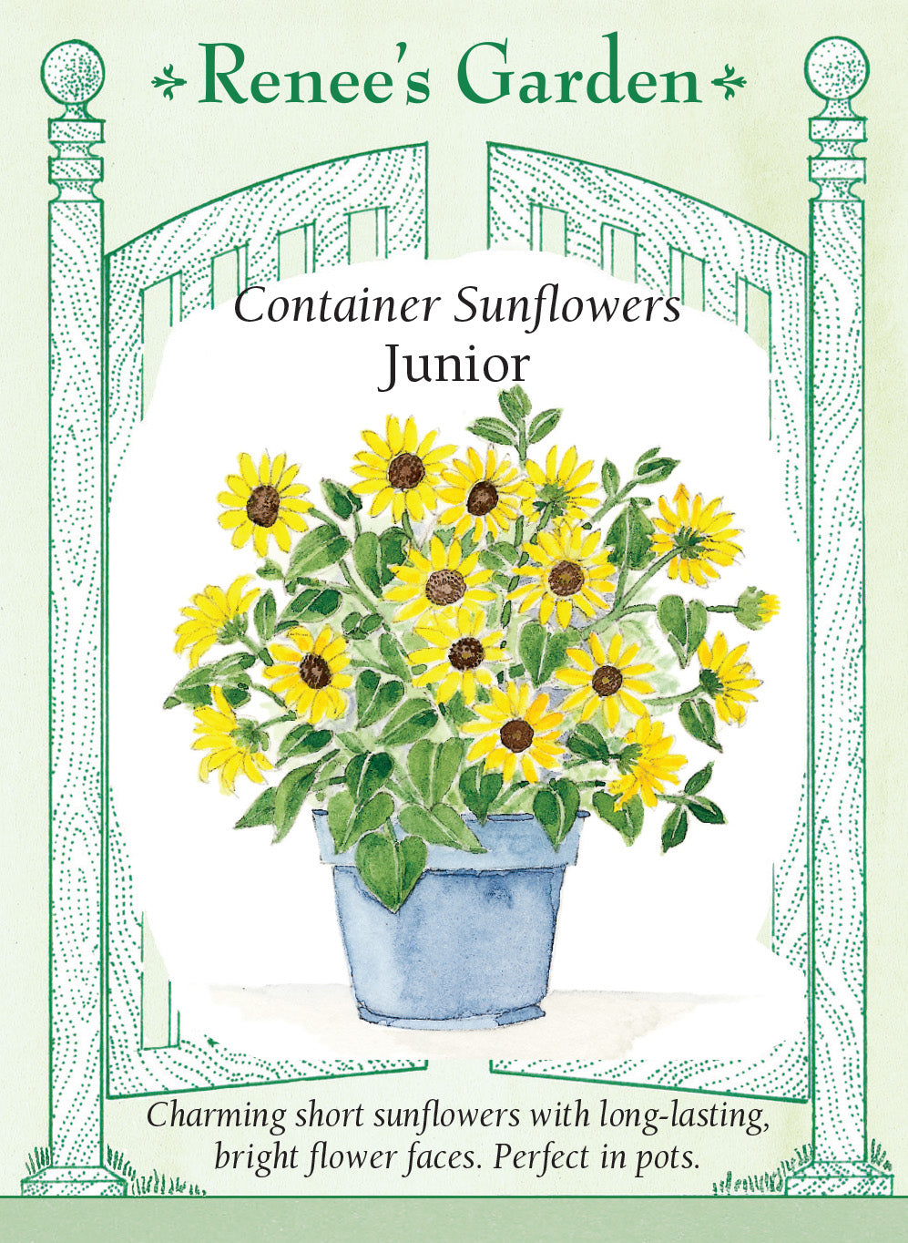 Sunflower Container Junior