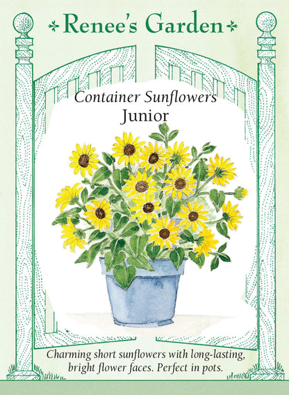 Sunflower Container Junior