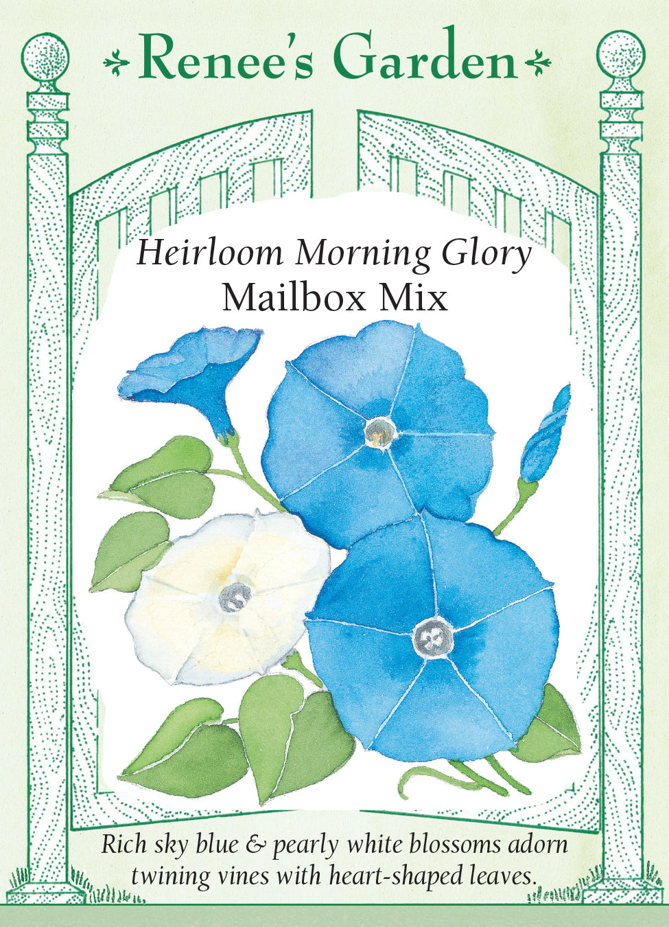 Morning Glory Mailbox Mix