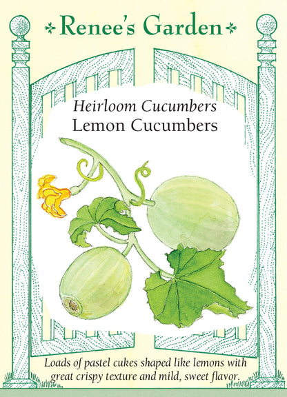 Cucumber Lemon Heirloom