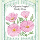 Poppy California Dusky Rose