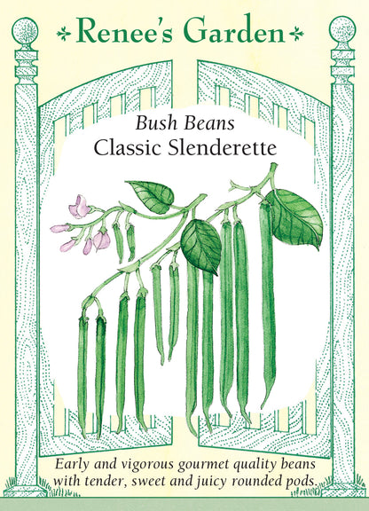 Bean Bush Classic Slenderette