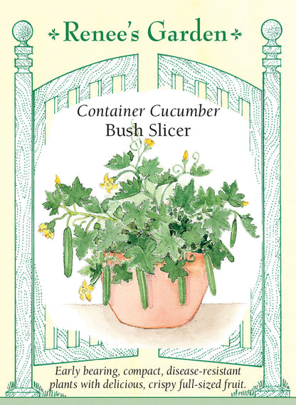 Cucumber Container Bush Slicer