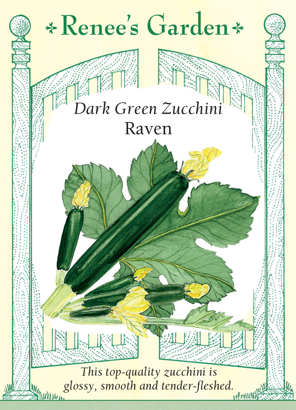 Squash Dark Green Zucchini