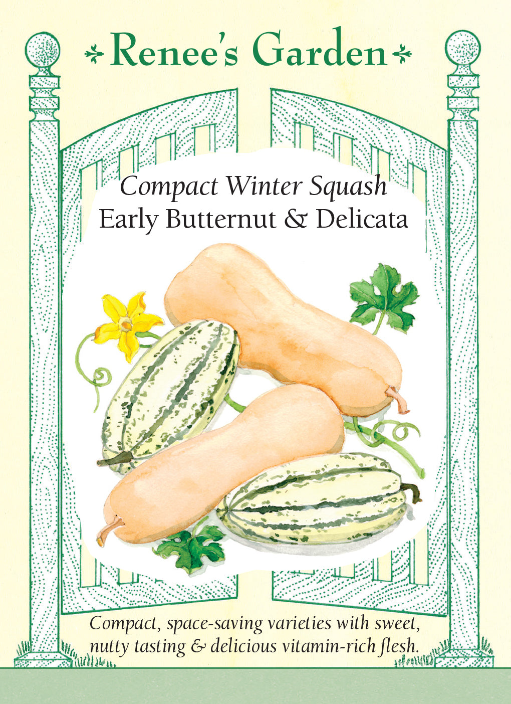 Squash Winter Butternut & Delicata