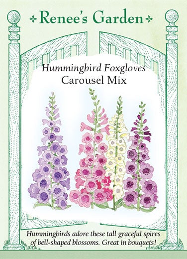 Foxglove Carousel Mix