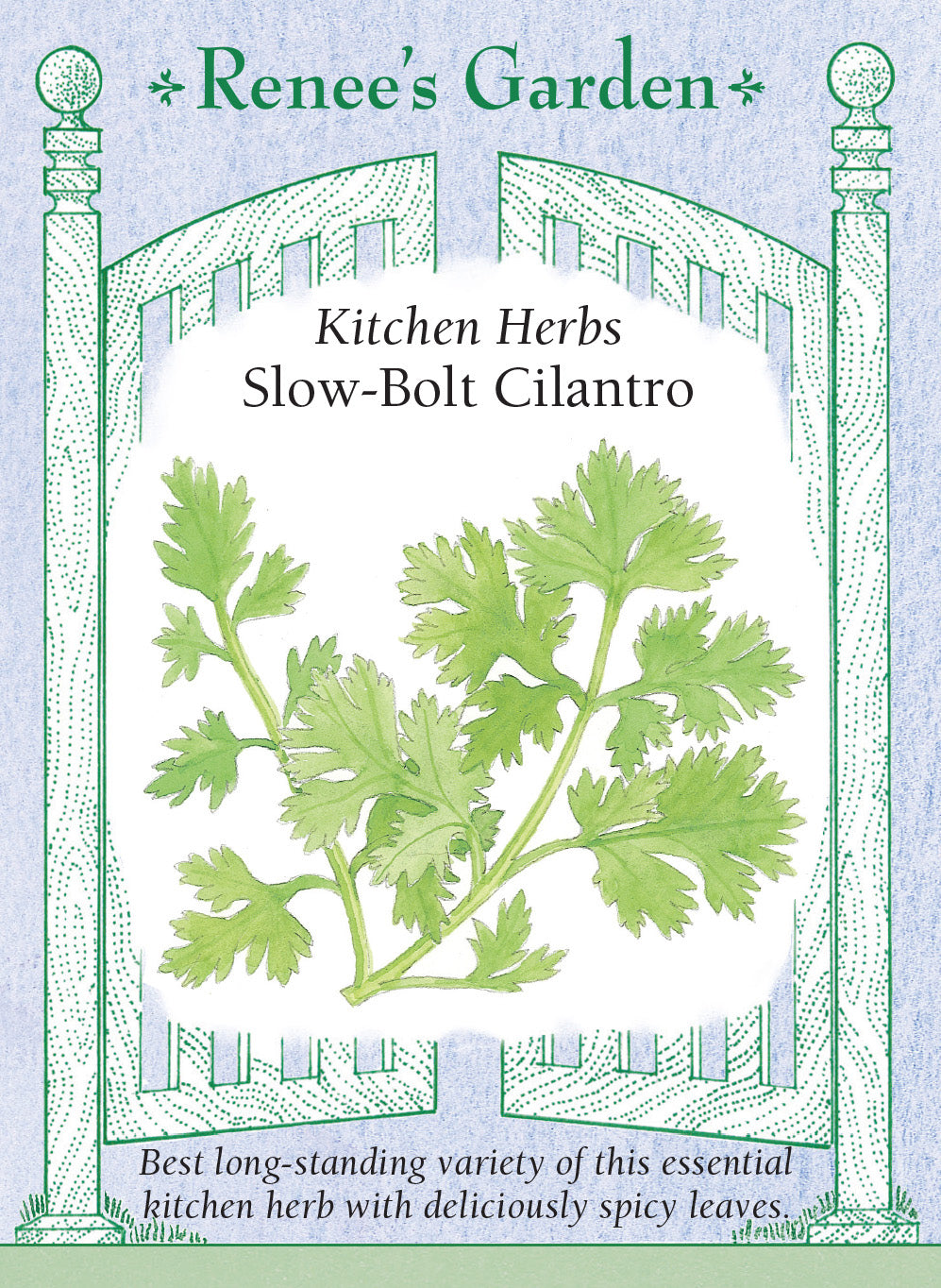 Cilantro Slow Bolt