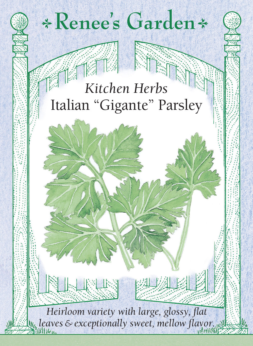 Parsley Gigante Italian