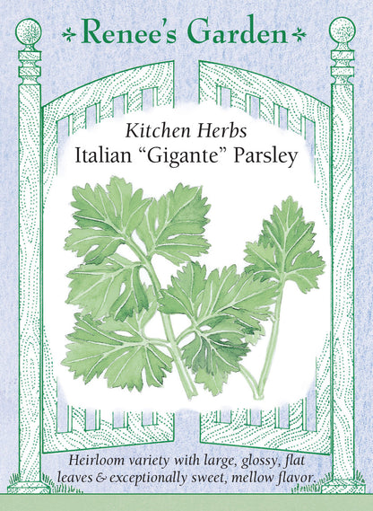 Parsley Gigante Italian