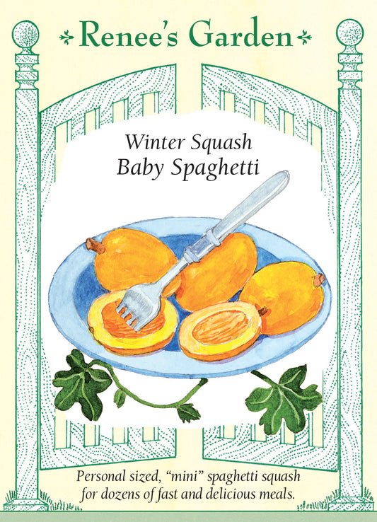 Squash Winter Baby Spaghetti