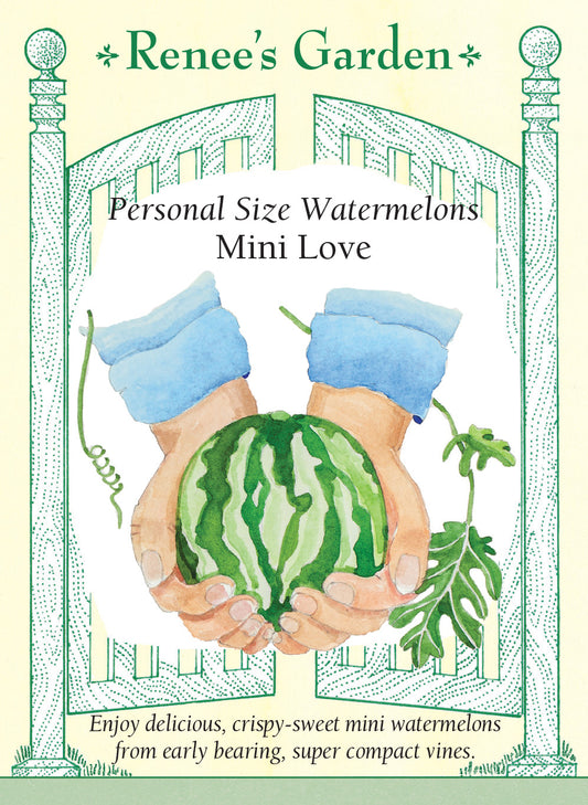 Watermelon Personal Mini Love