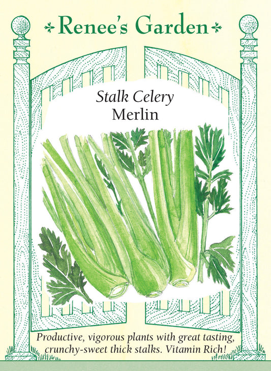 Celery Stalk Merlin