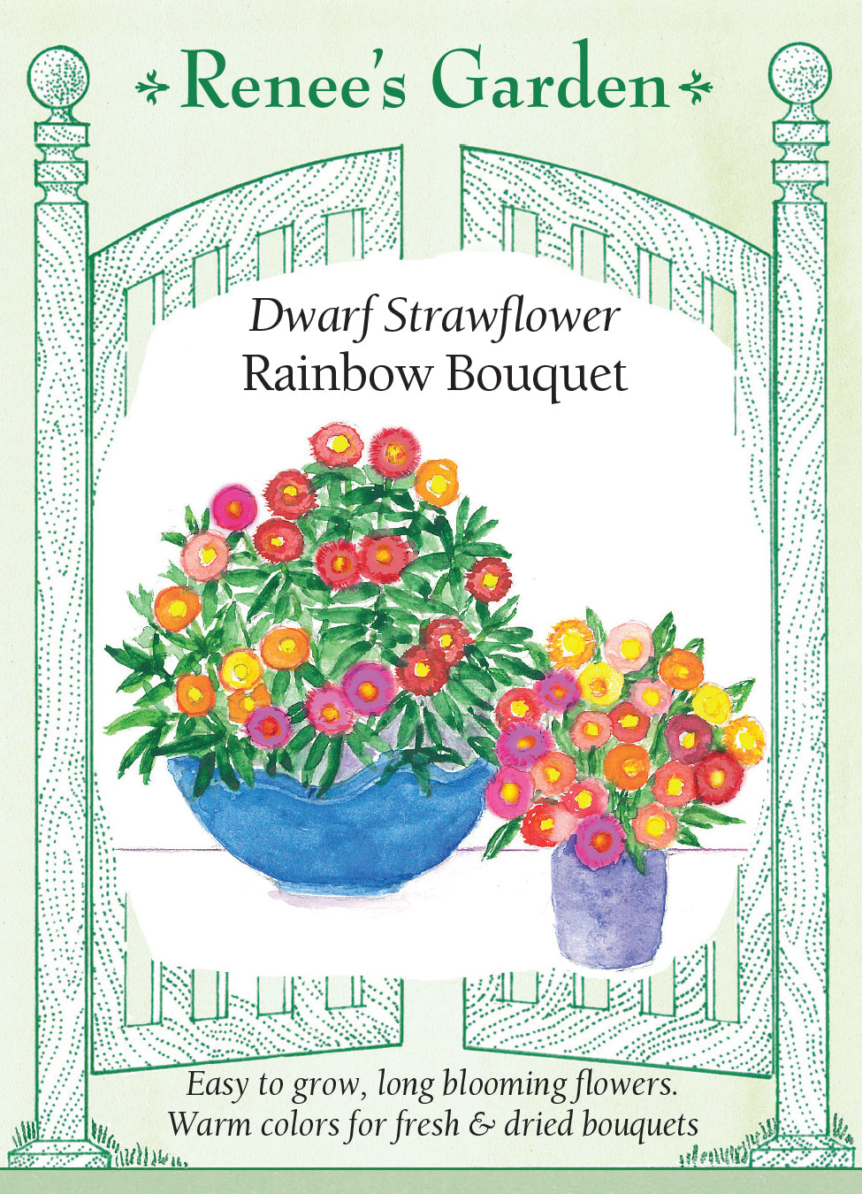 Strawflower Rainbow Mix