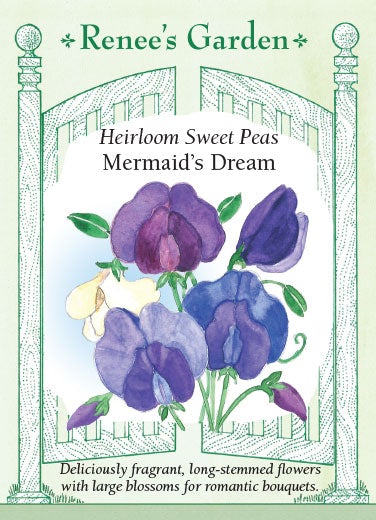 Sweet Pea Mermaid's Dream Scented