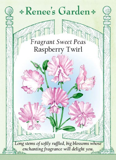 Sweet Pea Raspberry Twirls Scented