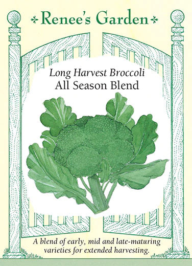 Broccoli All Season Blend