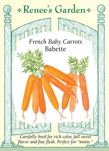 Carrot Baby French Babette