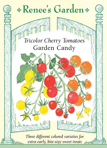 Tomato Cherry Tricolour Garden Candy