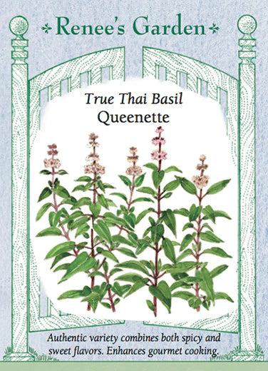 Basil True Thai Queenette