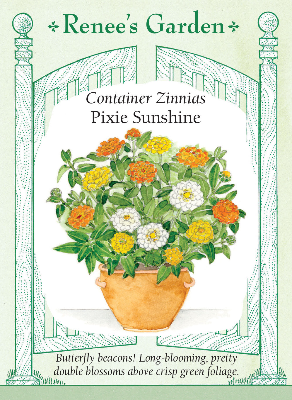 Zinnia Container Pixie Sunshine