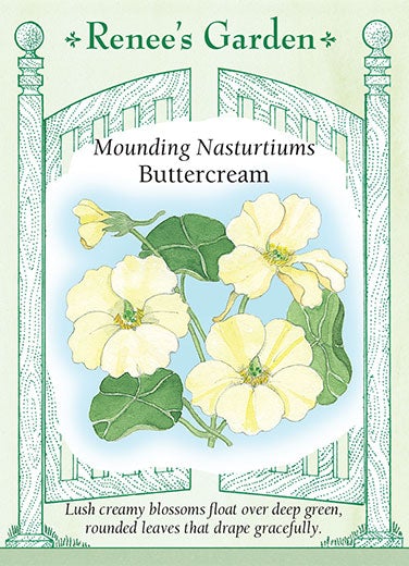 Nasturtium Buttercream