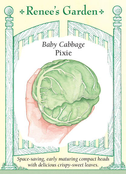 Cabbage Baby Pixie