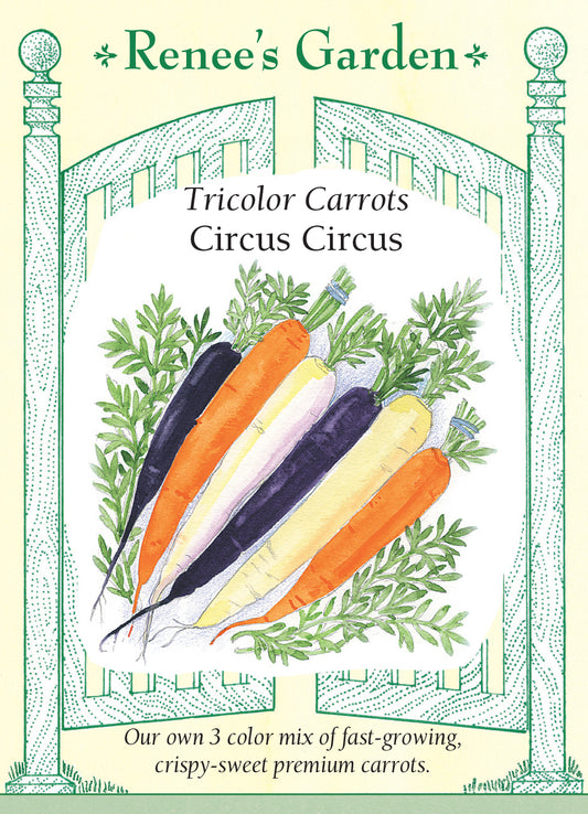 Carrot Circus Circus Tricolour Mix
