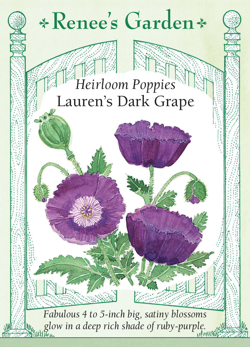 Poppy Lauren's Dark Grape