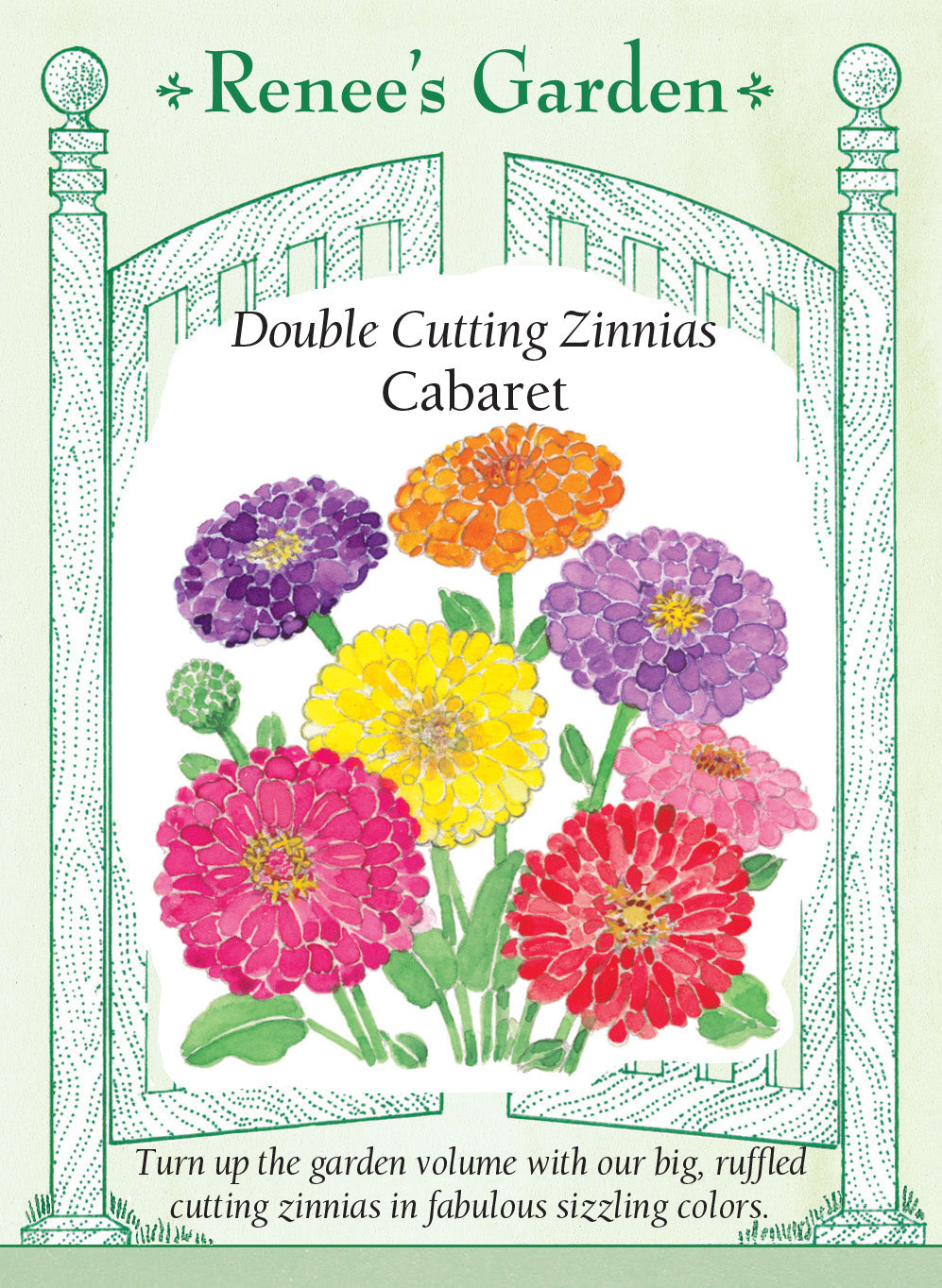 Zinnia Cabaret Double Cutting