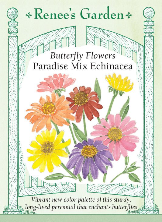 Echinacea Paradise Mix