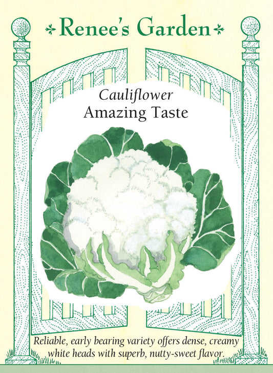Cauliflower Amazing Taste