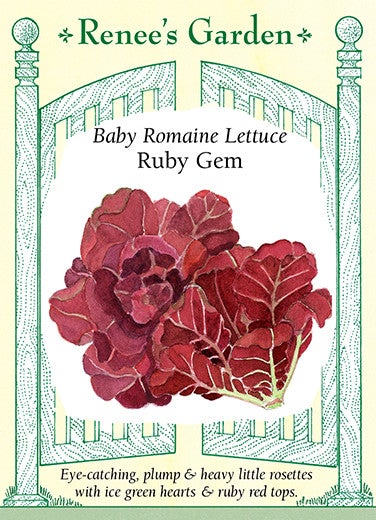 Lettuce Container Romaine Ruby Gem