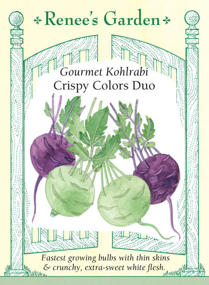 Kohlrabi Crispy Colours Duo