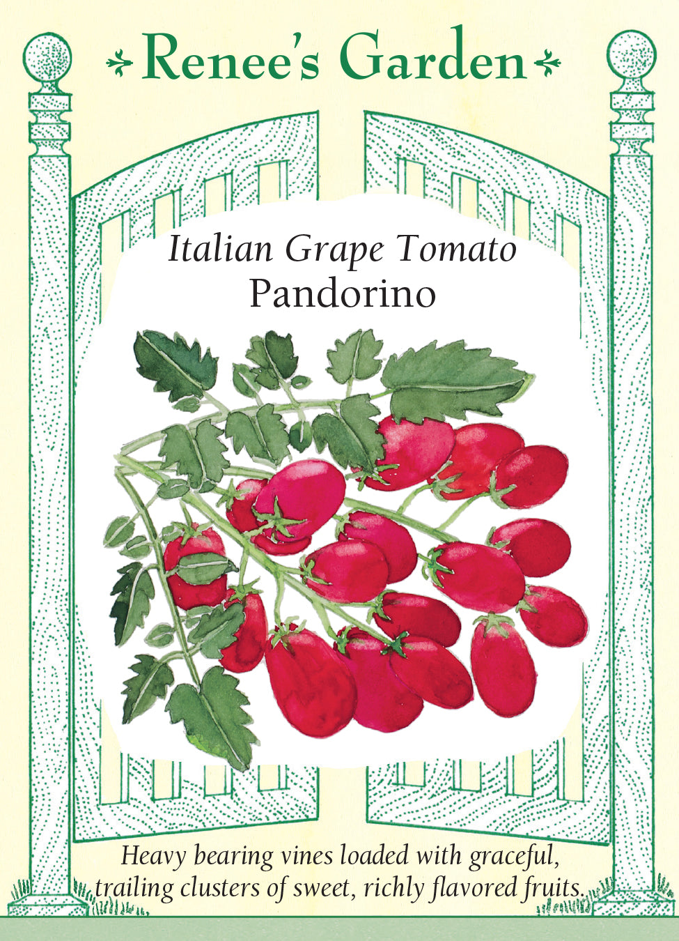 Tomato Grape Italian Pandorino