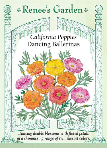 Poppy California Dancing Ballerinas