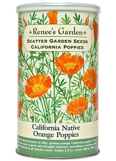 Scatter Garden Native Orange Poppy