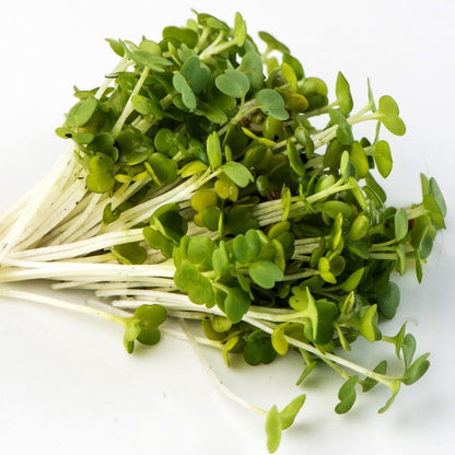 Microgreens Arugula 125gm