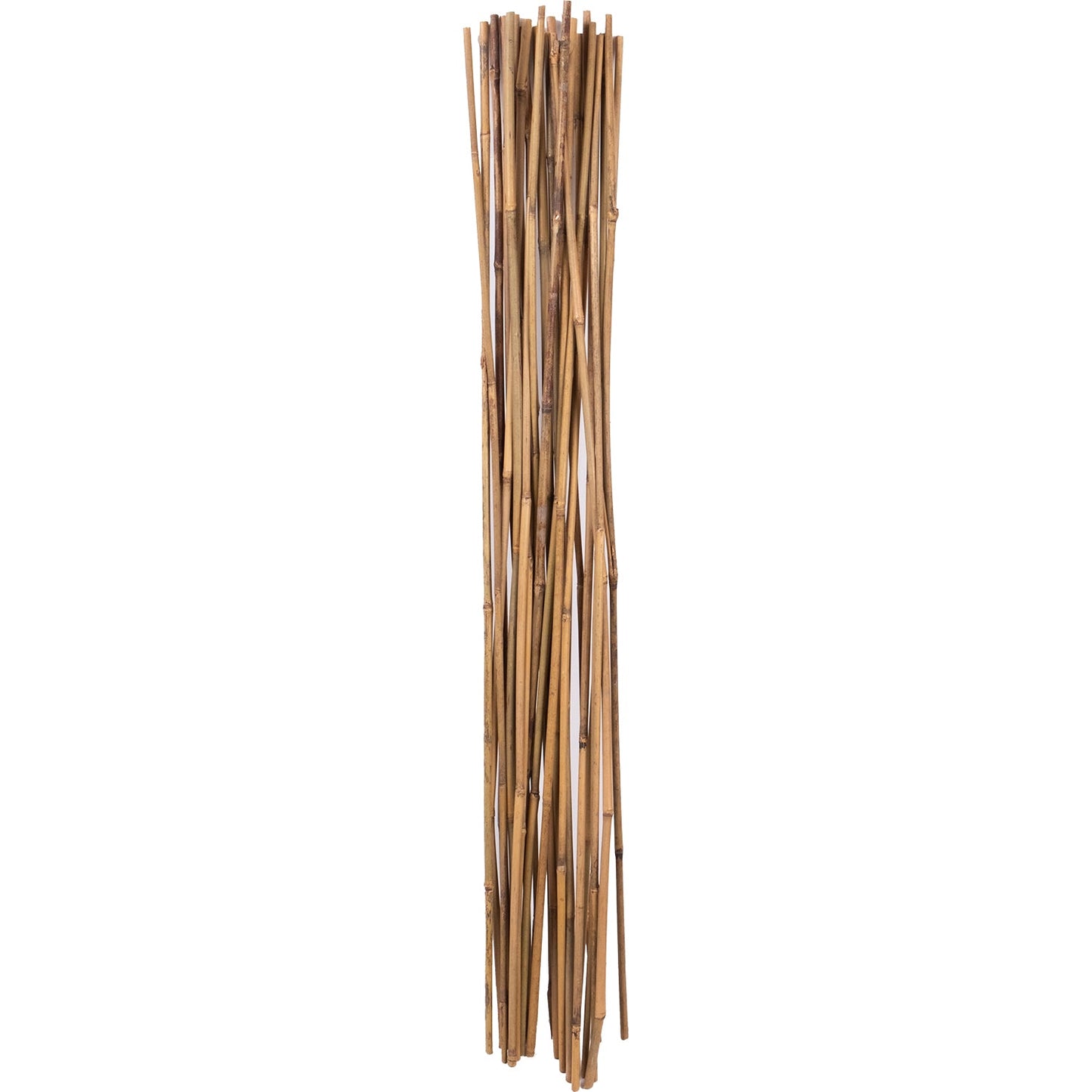 3’ Bamboo Stake