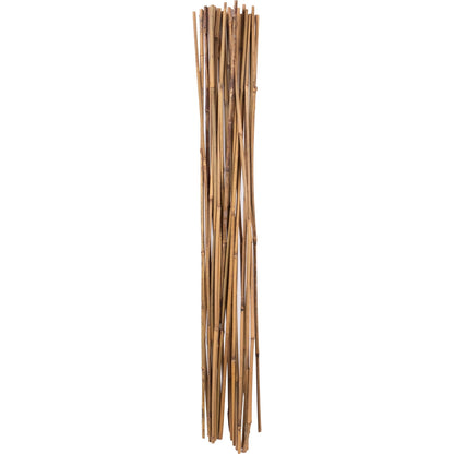 3’ Bamboo Stake