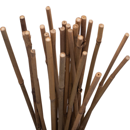 2' Bamboo Stake