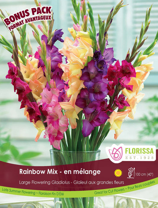 Gladiolus Rainbow Bulb Bonus Pack