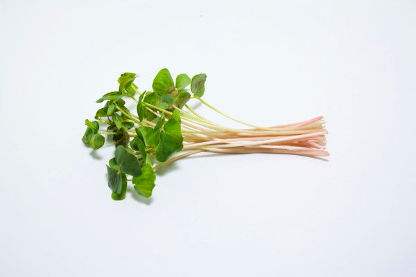 Microgreens Buckwheat 100gm