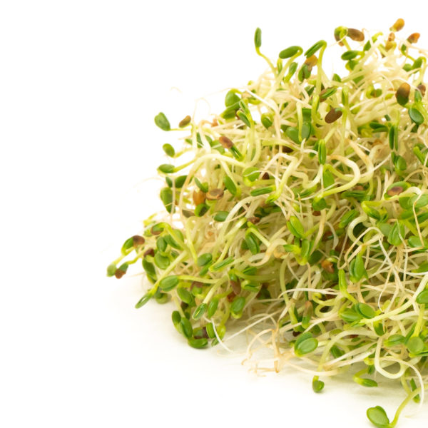 Sprouts Red Clover Seeds 125gm