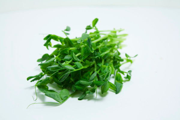 Microgreens Dwarf Grey Sugar Peas125gm