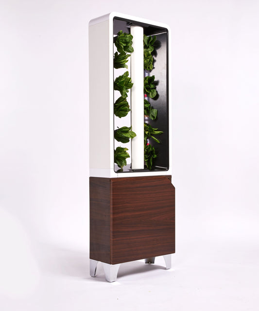Eve Vertical Growing System