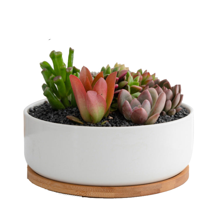 Round Ceraminc Planter with Bamboo Base